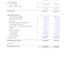 provide investor ready financial projections, forecasts and financial model